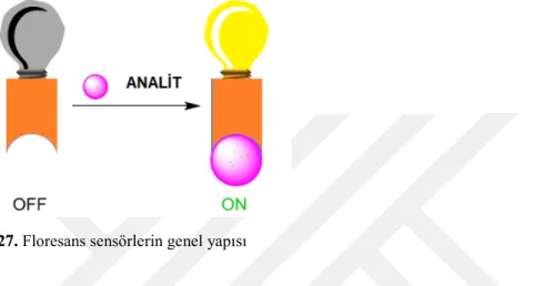 Şekil 1.27. Floresans sensörlerin genel yapısı 