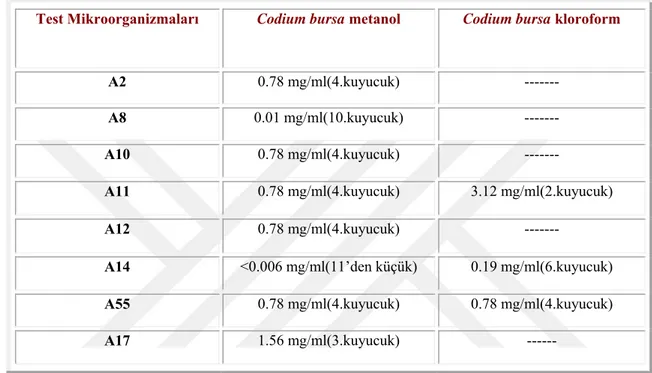 Çizelge 4.3. Codium bursa örneklerinden elde edilen metanol ve kloroform ekstraktının  Minimal İnhibisyon Konsantrasyon  sonuçları
