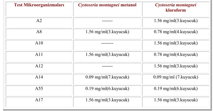 Çizelge 4.5. Cystoseira montagnei örneklerinden elde edilen metanol ve kloroform ekstraktının  Minimal  İnhibisyon Konsantrasyon sonuçları.