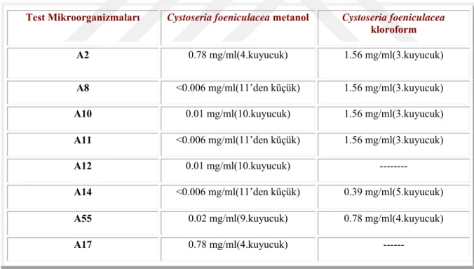 Çizelge 4.6. Cystoseira foeniculacea örneklerinden elde edilen metanol ve kloroform ekstraktının  Minimal İnhibisyon Konsantrasyon sonuçları