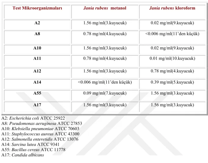 Çizelge 4.7. Jania rubens örneklerinden elde edilen metanol ve kloroform ekstraktının Minimal İnhibisyon  Konsantrasyon sonuçları