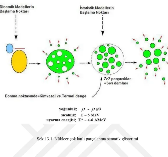 Şekil 3.1. Nükleer çok katlı parçalanma şematik gösterimi 