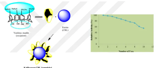 Şekil 1.23. Kaliksaren-CRL kompleksinin oluşum şeması ve enzimsel aktivitenin uzun süre korunduğunu  gösteren stabilite grafiği 