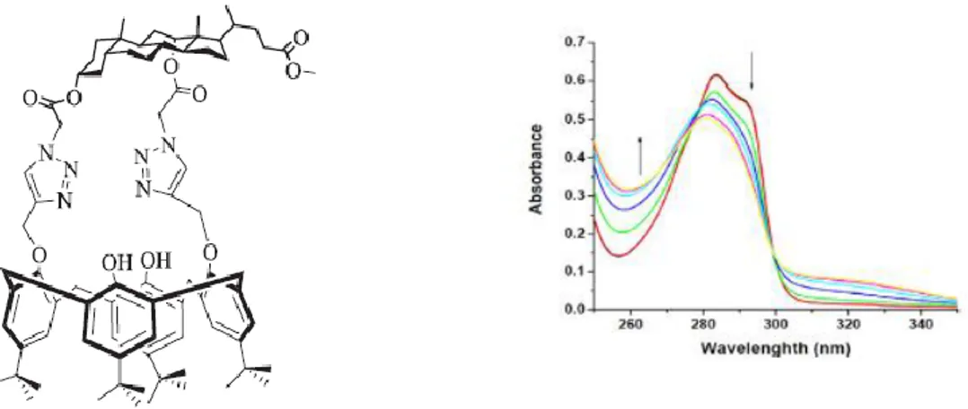 Şekil 1.27. Sentezlenen triazol yapısındaki kaliks[4]aren bileşiği ve Hg 2+  eklenerek kaydedilen UV-Vis