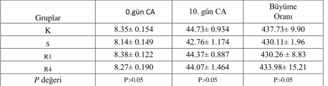 Çizelge 4.3. Resveratrolün in ovo enjeksiyonunun civciv performans ve  Büyüme  Oranı  üzerine etkisi ( ± SH)