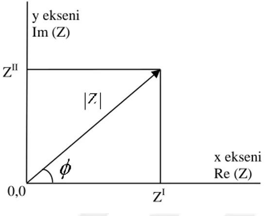 Şekil 4.3.3.1. Dik koordinat sistemi kullanılarak düzlemsel bir vektör olarak çizilen empedans, Z 