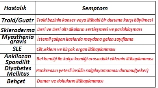 Şekil 1.12. MS ile görülebilecek hastalıklar 