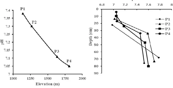 Figure 4.2.  Distribution of pH with depth each soil profile and elevation in solum within along an  altitudinal transect of study.