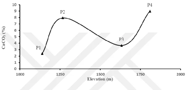 Figure  4.4.  Distribution  of  CaCO 3   with  elevation  within  each  in  solum  (A  and  B  horizons)  soil  profile  along an altitudinal transect of study