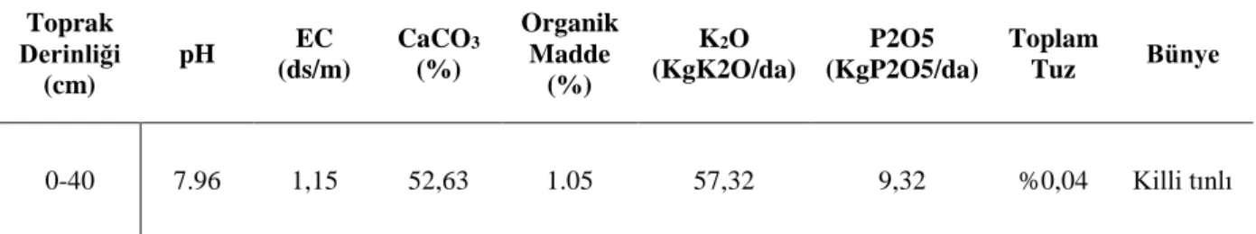 Çizelge 3.2. Araştırma Yerine ait Toprakların Bazı Fiziksel ve Kimyasal Özellikleri*  Toprak  Derinliği  (cm)  pH  EC  (ds/m)  CaCO 3 (%)  Organik Madde (%)  K 2 O  (KgK2O/da)  P2O5   (KgP2O5/da)  Toplam Tuz  Bünye  0-40  7.96  1,15  52,63  1.05  57,32  9,