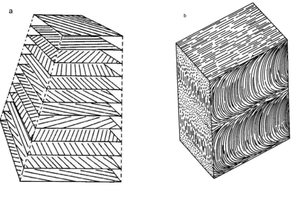 Şekil 2. a) Böcek kütikülasında kitin mikrofibrillerin helizoidal düzenlenmesi b) Endokütikülada  parabolik eğriler ve oluşan lamelli görüntü (Bu şekilde iki lamel görülmektedir) [Locke  (1974) ve Reynolds‘dan (1987) değiştirilerek)