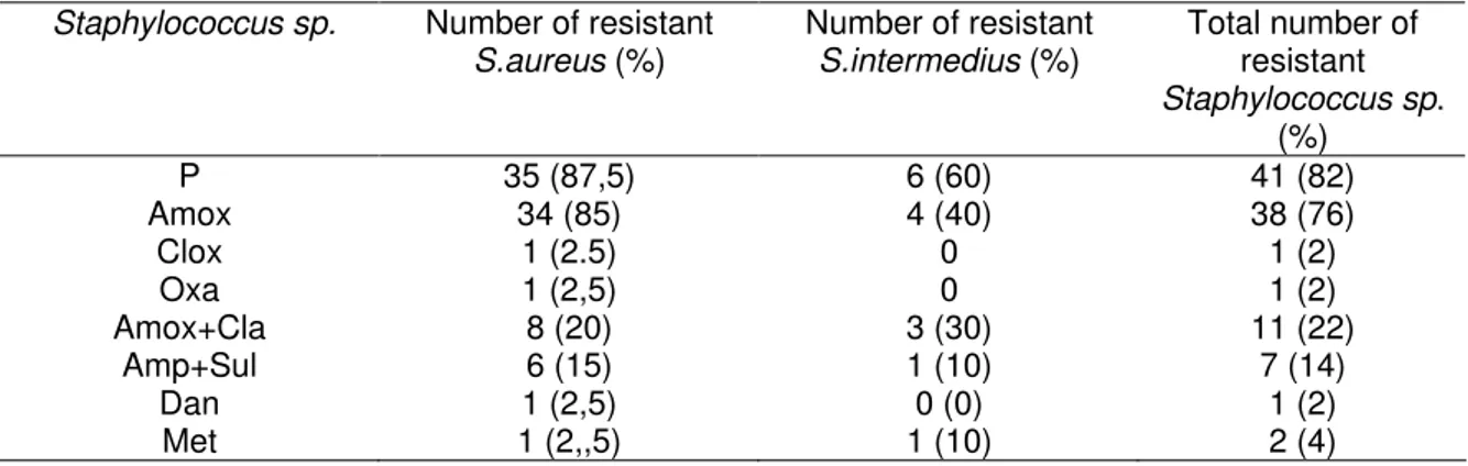 Table 2. Antibiogram of S.aureus and S.intermedius isolated from mastitic udders with subclinical mastitis