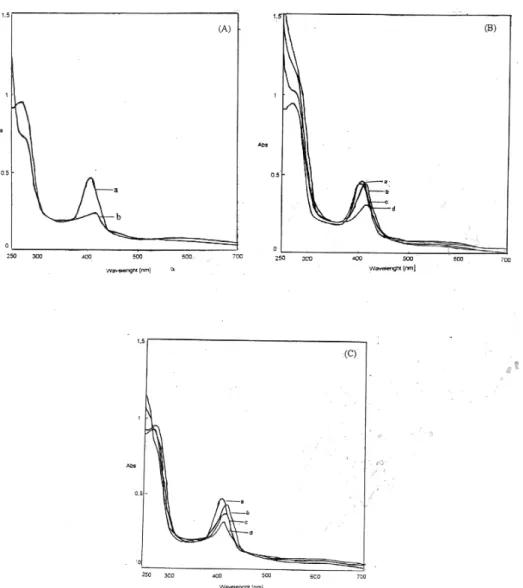 Figure IV: (A) Absorption spectrum of catalase in alkali. (a) control; (b) alkali denatured (pH: 