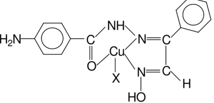 Figure 2. Proposed structure of copper (II) complex of L 3