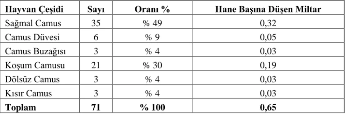 Tablo 9: Büyükbaş/Manda Çeşitleri 