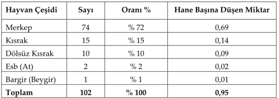 Tablo 13: Yük ve Binek Hayvan Çeşitleri 