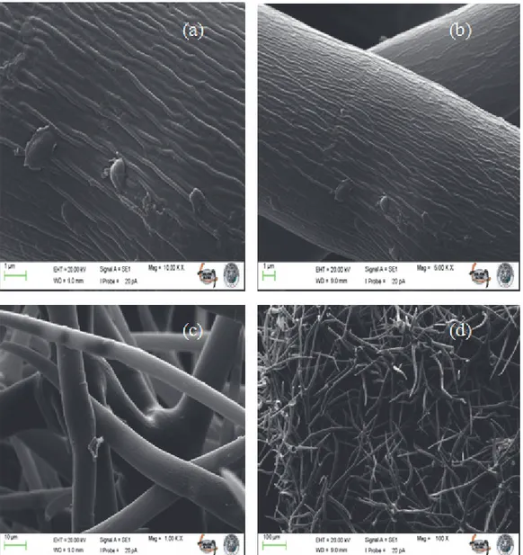 Şekil 2. Ağır metal adsorpsiyonu için sığırkuyruğu (V.  cheiranthifolium) bitki materyalinin saf su ile muamelesinden sonra SEM fotoğrafları; (a) 10 kX, (b) 5 kX, (c) 1 kX ve (d) 100 X  (SEM photos of V