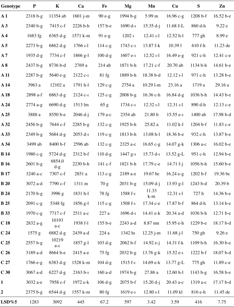 Table 1. Mineral content of the seeds (inner part) of some selected confectionary pumpkin genotypes at S5 stage (mg kg -1 ) Genotype P  K  Ca  Fe  Mg  Mn  Cu  S  Zn  A 1 2318 b-g 11354 ab 1601 j-m 90 e-g 1994 b-g 5.99 m 16.96 c-g 1208 b-f 16.52 b-e A 3 234