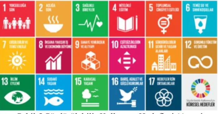 Figure 5 Sustainable Development Goals 