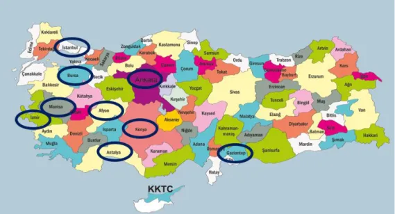 Şekil 2. Türkiye Haritası üzerinde çalışmada kıyaslanan illerin gösterimi  