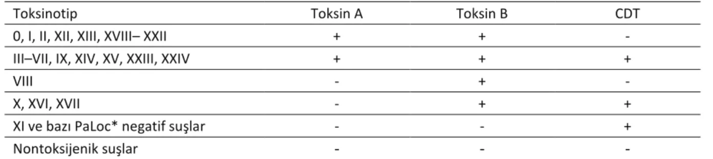 Tablo 1. C. difficile’in Toksinotipleri (9). 
