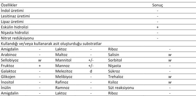 Tablo 2. C. difficile’in Bazı Önemli Biyokimyasal Reaksiyonları (7). 