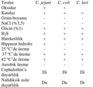 Tablo  1.  Termofilik  Campylobacter  Türlerinin  Ġzolasyon  ve    Ġdentifikasyonunda  Kullanılan  Testler  