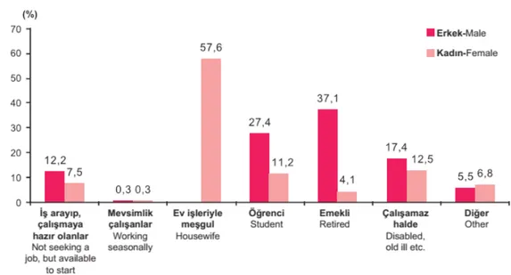 Şekil 1: İşgücüne Katılmama 