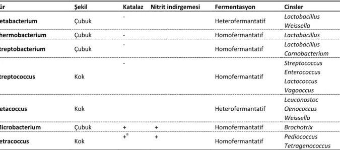 Tablo 1. LAB ve sınıflandırması  Table 1. LAB and taxonomy 