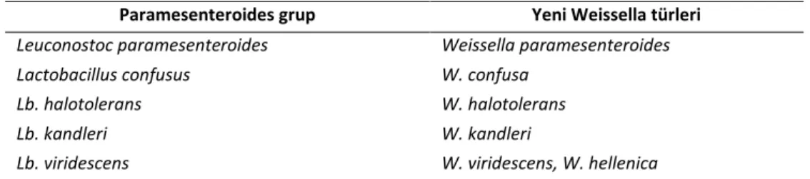 Tablo 3. Lactobacillus ve Leuconostoc türlerinin Weissella soyu olarak sınıflandırılması  Table 3