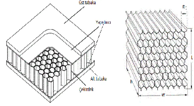 Şekil  1’de  alt-üst  katman  arasına  yerleştirilmiş  çekir- çekir-dek  yapının  yapıştırıcı  ile  birleştirilmiş  hali   gösteril-miştir