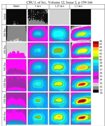 Figure  8.  Thermal  images  of  impacted  specimens  with  dif- dif-ferent  impact  velocities  under  fatigue  loading  of  ±4mm  displacement