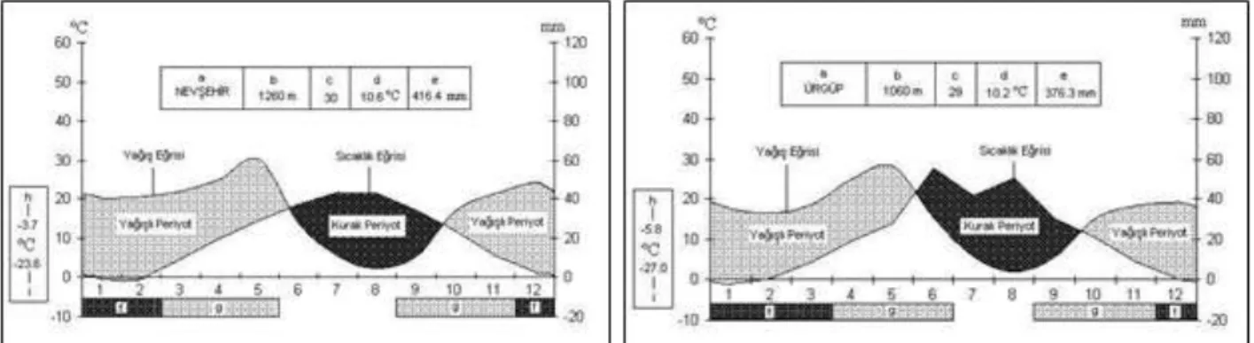 Şekil 2. Nevşehir’in ombrotermik iklim diyagramı                 Şekil 3. Ürgüp’ün ombrotermik iklim diyagramı 