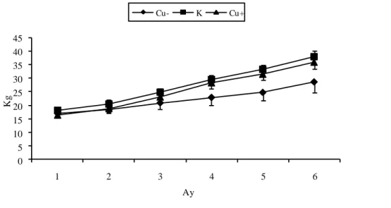 Grafik 1: Akkaraman kuzularda kontrol (K) ve deneme (Cu- ve Cu+ ) gruplarına ait aylık ortalama canlı  ağırlık kazancı (n=6) 