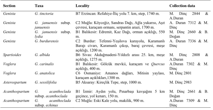 Table 1. Studied materials of Genista taxa in Turkey 