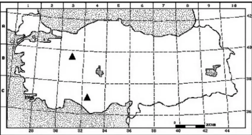 Figure 2. The distribution map (▲) of Astragalus stereocalyx in Turkey  3.4. Karyotype Analysis 