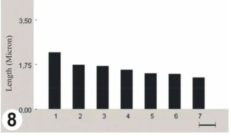 Figure 8. Ideogram of Sphaerophysa kotschyana  