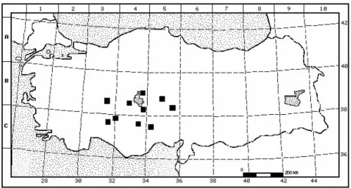 Figure 10. The geographical distribution map of Sphaerophysa kotschyana  3.7. Status 