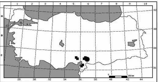Figure 4. The distribution map of Cicer floribundum var. amanicola (˜)and Cicer floribundum var