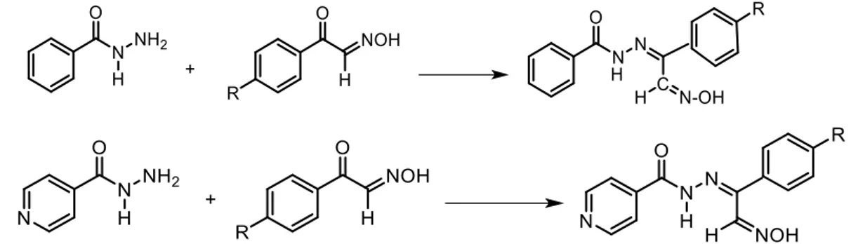 Şekil 6.1. İzonitrozoasetofenon türevleri sentezi reaksiyonu 