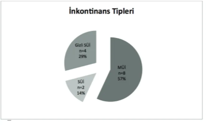 Şekil 1.  Hastaların inkontinans tipleri.