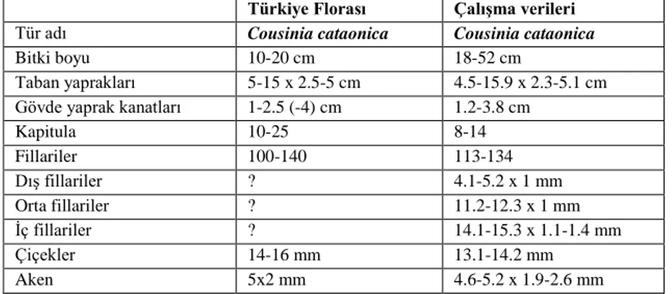 Tablo 4. Cousinia intertexta Türü Türkiye Florası verileri ile çalışma verilerinin karşılaştırması  Türkiye Florası  Çalışma verileri 