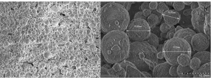 Figure 1 a and b) Nanopowder alumina oxide (Al 2 O 3  ) SEM image  2.2. Test organisms and cultivation conditions 