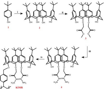 Şekil 1. Kaliksaren hidrazin amit türevinin sentez şeması ve Merrifield reçinesine immobilizasyonu (i)  formaldehit, NaOH, difenileter; (ii) metilbromoasetat, K 2 CO 3 , aseton; (iii) hidrazin hidrat, 