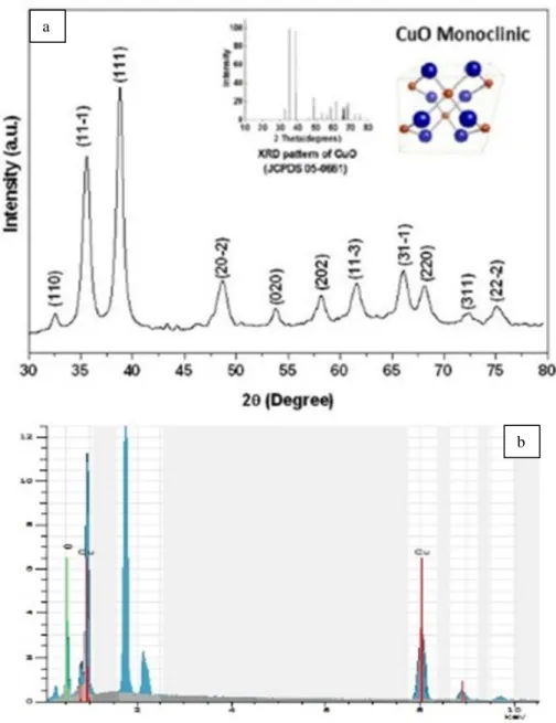 Figure 2. (a) XRD pattern of the prepared nanoparticles presenting monoclinic CuO (b) The EDS  spectrum of nanoparticles showing copper and oxygen 