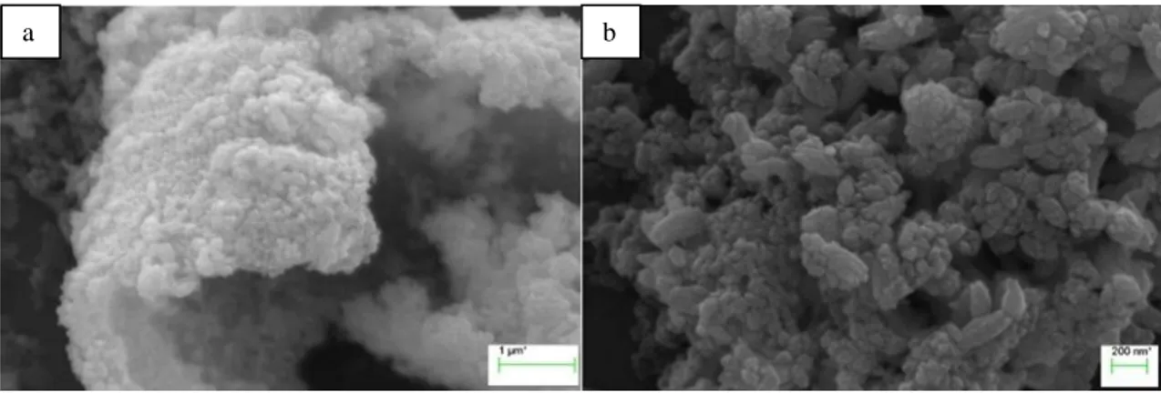 Figure 3. SEM images of CuO nanoparticles 