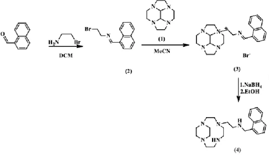 Figure 1. Synthesis scheme of the glyoxal-bridged tetraaza compound, 1,4,7,10-tetraazacyclododecane