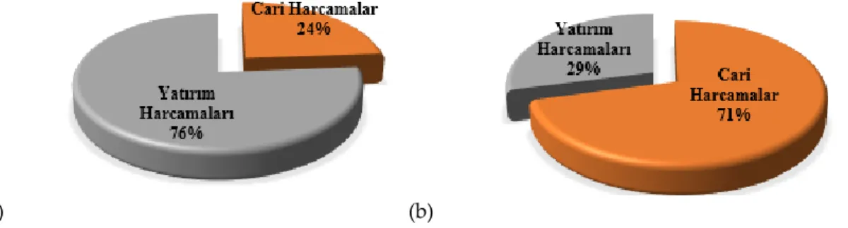 Şekil 3. Kamu sektöründe yatırım ve cari harcamaların dağılımı (2018): (a)Kamu Kuruluşları, İl Özel  İdareleri ve Mahalli İdari Birlikler; (b)Belediyeler  