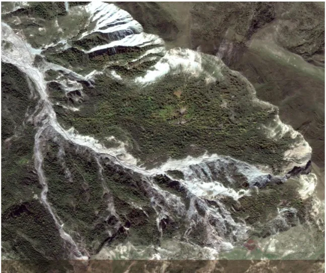 Figure 5. The sleeve of the Garauzchay landslip-stream, having a south-north strike and capturing all  new areas, reflected by a light phototone separating them from the adjacent mountain forest and  mountain meadow landscapes  (a photo of the company "