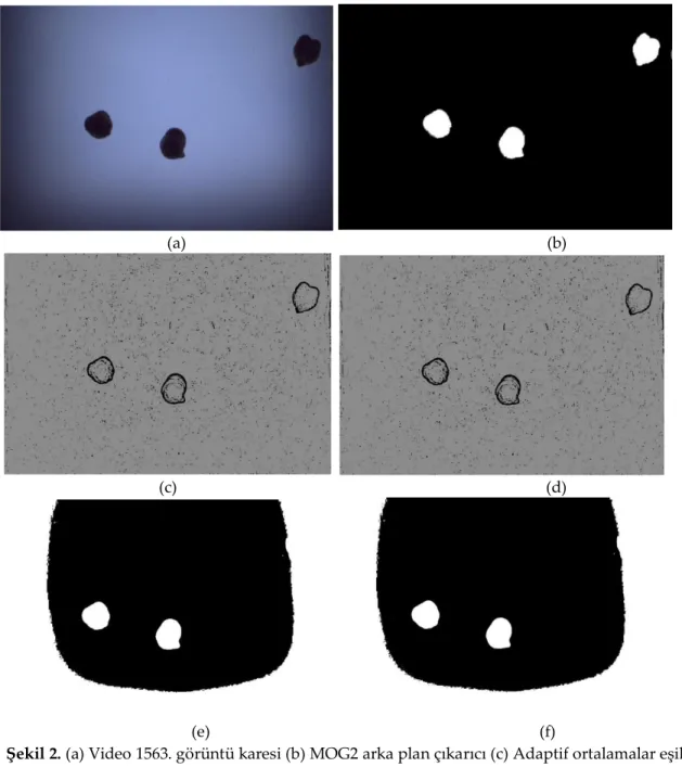 Şekil 2. (a) Video 1563. görüntü karesi (b) MOG2 arka plan çıkarıcı (c) Adaptif ortalamalar eşikleme (d)  Adaptif gaussian eşikleme (e) Basit eşikleme (f) Otsu eşikleme 